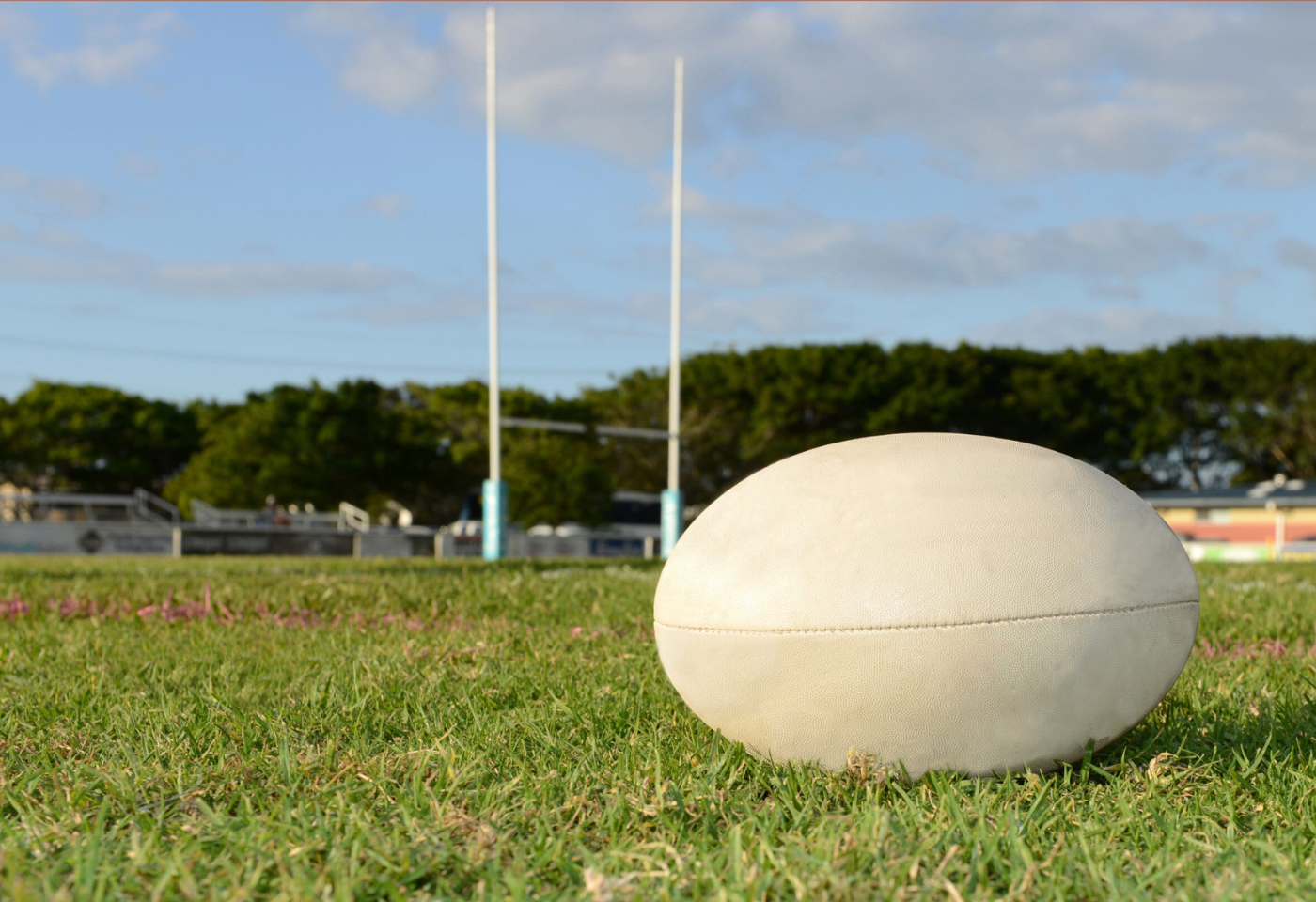 pg_blog_visuals_rugby_MW